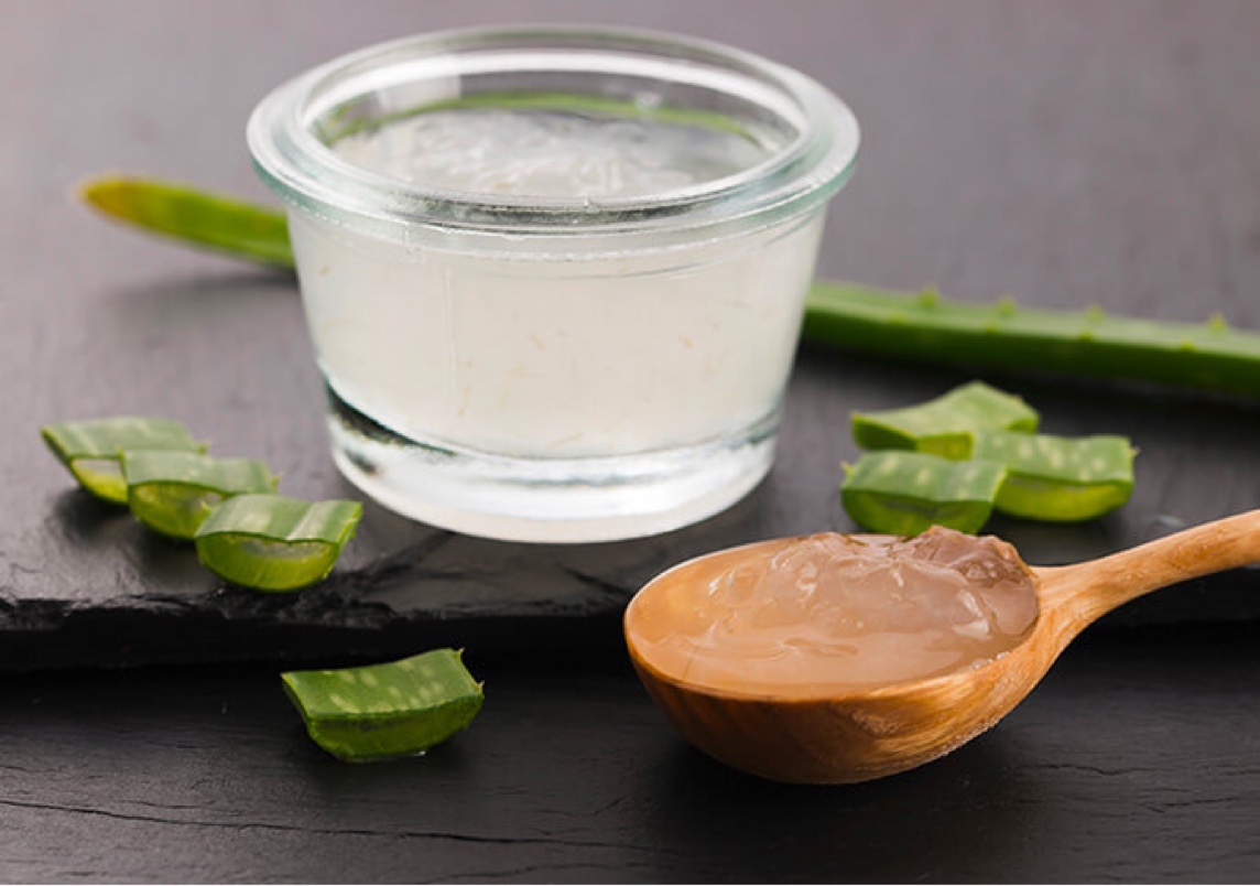 Pianta di aloe